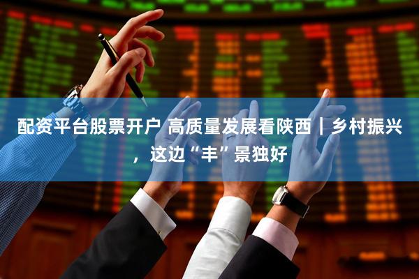 配资平台股票开户 高质量发展看陕西｜乡村振兴，这边“丰”景独好